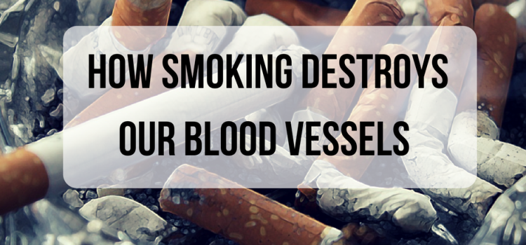 How smoking destroys our blood vessels – Total Cardiac Care How smoking destroys our blood vessels – Total Cardiac Care