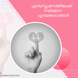 ഹൃദയസ്തംഭനത്തിലേക്ക് നയിക്കുന്ന ഹൃദയരോഗങ്ങള്‍ – Total Cardiac Care | Dr.Mahadevan Ramachandran